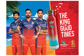 Kingfisher Kingfisher