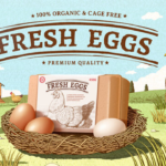 Fresh Eggs Premium Quality – The Complete Guide to Healthy, Farm Fresh Nutrition (2026)